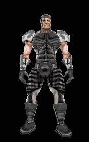 Image of seal01.gif